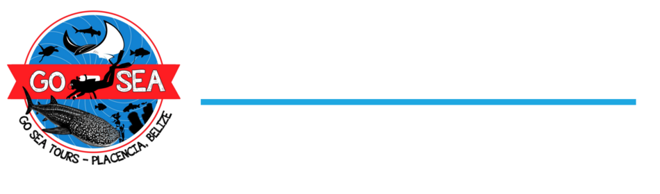 Go Sea Tours Belize